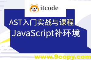 蔡老板-AST入门实战与JavaScript补环境课程