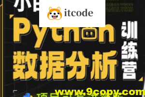 小白玩转Python数据分析训练营