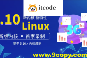 王利涛 嵌入式工程师自我修养系列视频教程 Linux三剑客