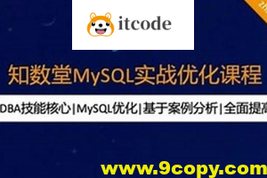 知数堂MySQL实战优化课程