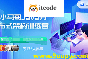 小马哥 Java训练营第四期Java分布式架构-多活架构