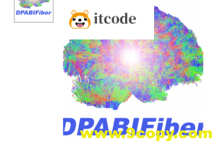 DPABIFIBER脑结构纤维与脑功能融合高阶课程